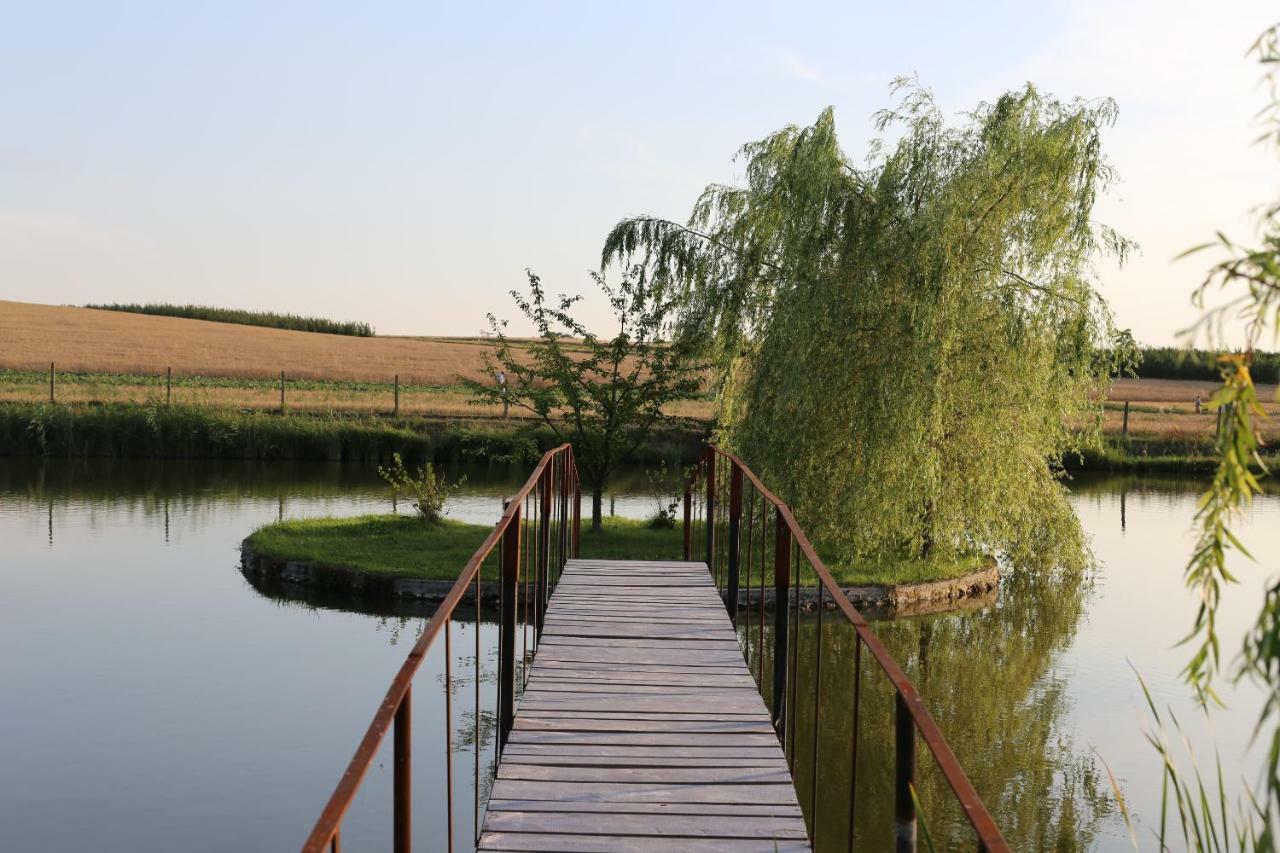 Vila Agrowczasy Nad Stawem Gartatowice Exteriér fotografie