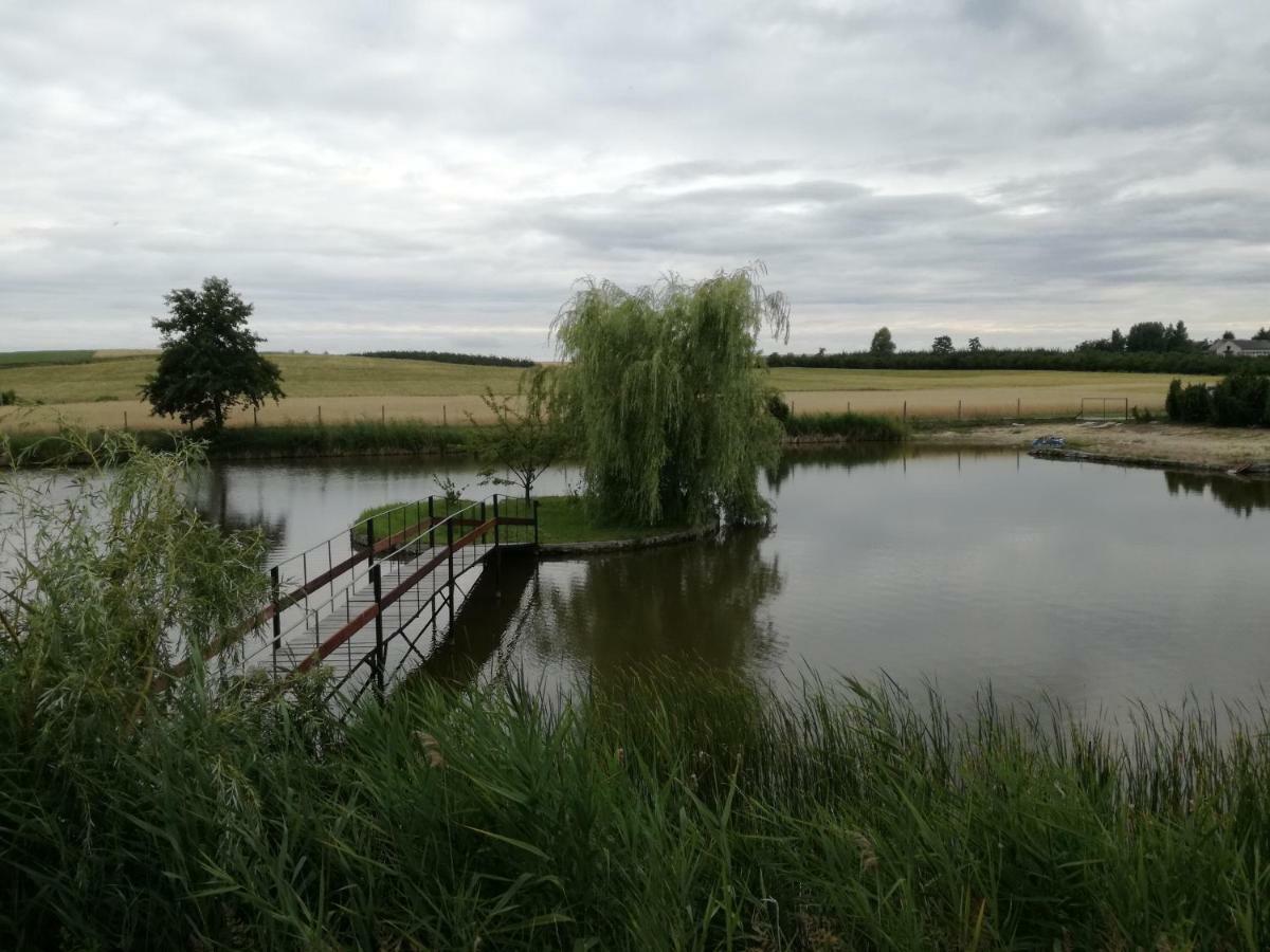 Vila Agrowczasy Nad Stawem Gartatowice Exteriér fotografie