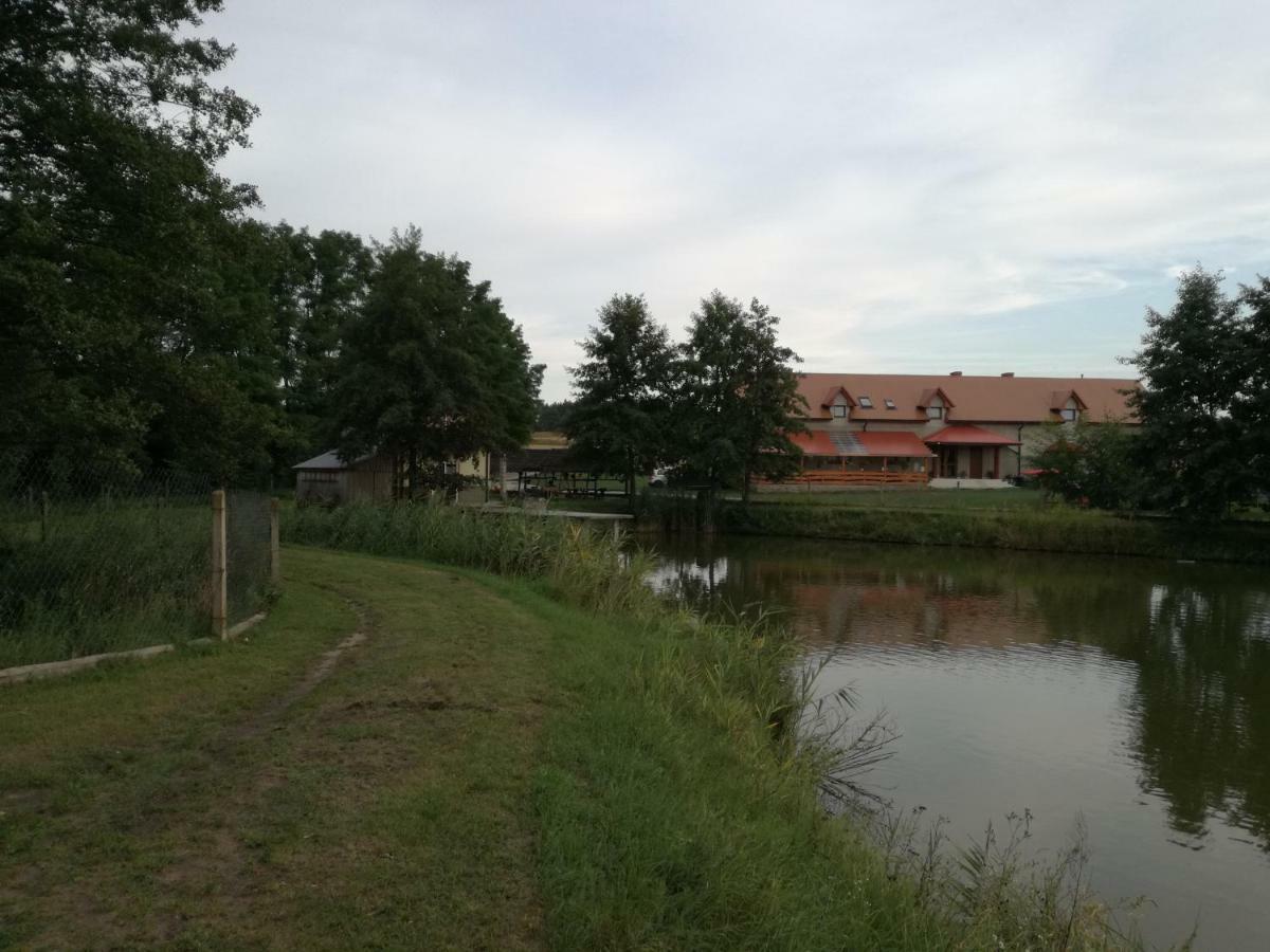Vila Agrowczasy Nad Stawem Gartatowice Exteriér fotografie