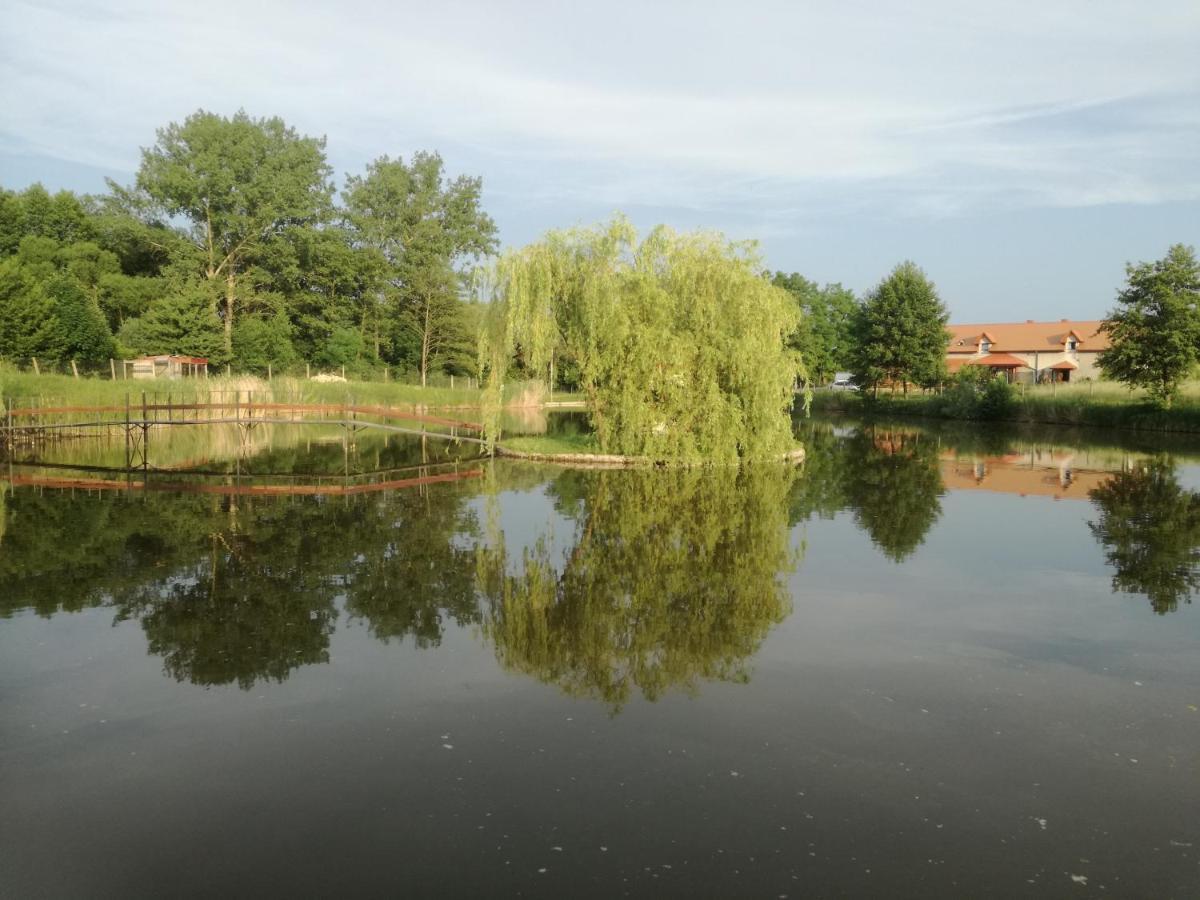 Vila Agrowczasy Nad Stawem Gartatowice Exteriér fotografie